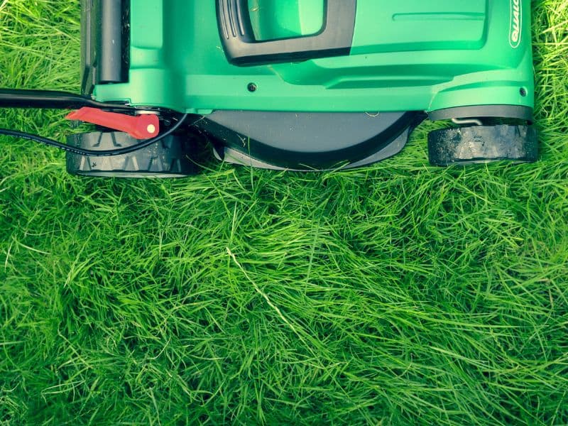 Commercial tenant improvement electrical buildout for a restaurant